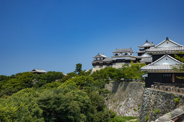 松山城と城山公園