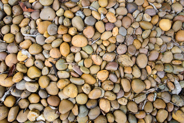 Multi color rock pebbles background