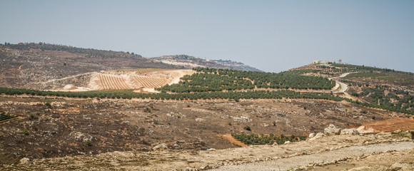 View of the farmland, settlement Shilo in Israel