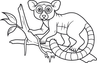 lemur
