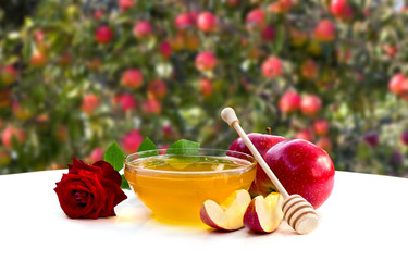 Honey, red apples and red rose on a white table on background of apple garden