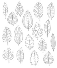 Collection of leaves for coloring pages, Set of different leaves for coloring pages, Hand drawn adult coloring page, Outline vector illustration