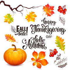 Fototapeta na wymiar Autumn sale lettering set, Thanksgiving Day