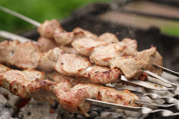 bbq shashlik pork meat outdoor food
