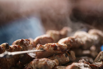 bbq shashlik pork meat outdoor food