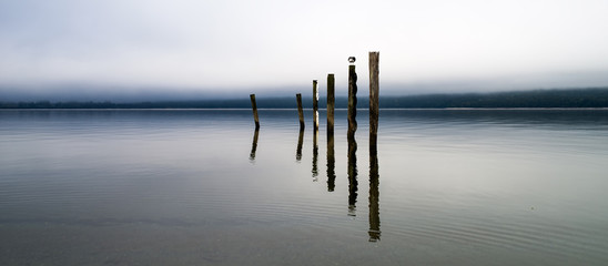 Pows in the lake te anau