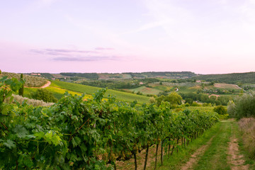 Naklejka premium Provence