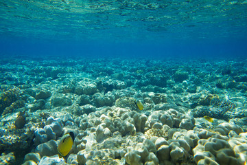  underwater