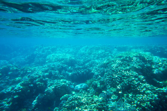  underwater
