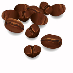 Coffee beans isolated on white background, vector