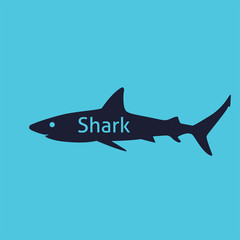 Shark silhouette isolated
