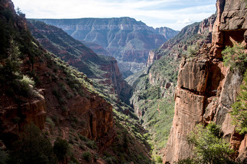 Grand Canyon National Park USA North rim 5