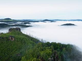 Obraz premium Magnificent heavy mist in landscape. Autumn creamy fog in countryside. Hill increased from fog,