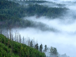 Magnificent heavy mist in landscape. Autumn creamy fog in countryside. Hill increased from fog,