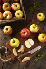 Raw Organic Honeycrisp Apples