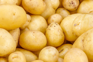 Fresh organic potatoes in a pile for sale at a farmer's market