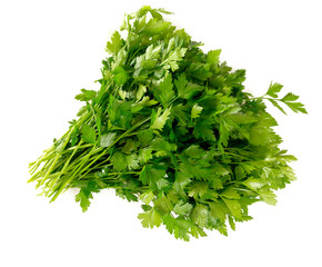 bunch of fresh parsley leafs isolated on white