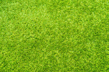 Obraz premium Bright fluffy carpet texture with a large pile