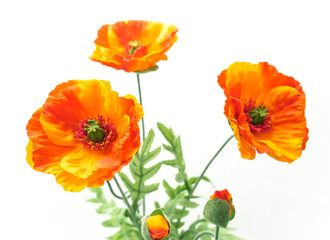 Artificial flowers poppies home decors
