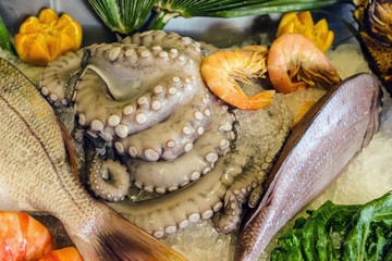 Seafood: octopus and fishes