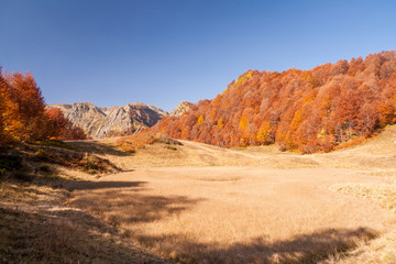 beautiful Caucasian mountains in autumn