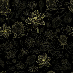 Golden line lotus flowers pattern background on black