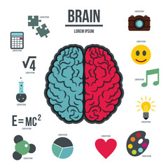 Human brain infographics set in flat style. Brain function set collection vector illustration