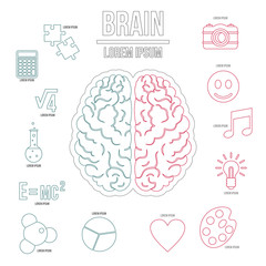 Human brain infographics set in outline style. Brain function set collection vector illustration