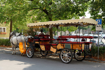 Horses are harnessed to carts for driving tourists In Rothenburg ob der Tauber, Germany