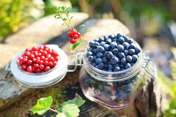 Fresh blueberry and cowberry berries in a glass jar with a lid standing outdoors on a wooden stump
