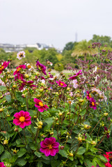 Jardin du Luxembourg, Paris, France