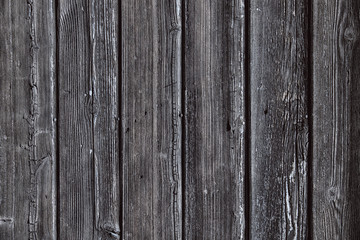 Fototapeta premium Old Wood