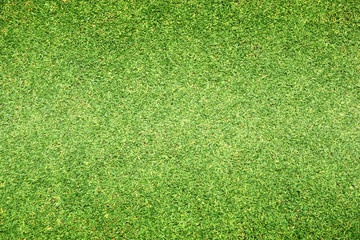 Golf Courses green lawn