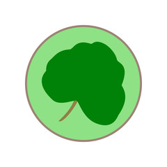 Leaf flat vector icon