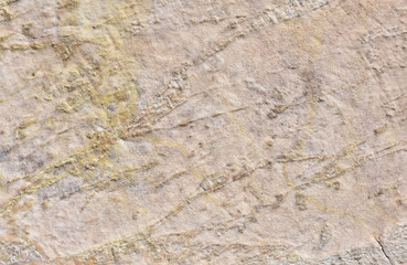 Ancient marble slab background