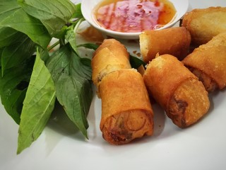 Fired spring rolls on white dish