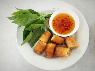 Fired spring rolls on white dish