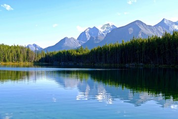 Temple Mountain reflection in Herbert Lake. Banff National Park. Alberta. Canada. 