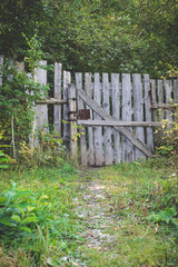 Naklejka premium trail to the abandoned garden