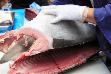 マグロ解体
