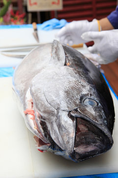 マグロ解体 の画像 346 件の Stock 写真 ベクターおよびビデオ Adobe Stock