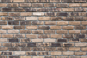 レンガの壁