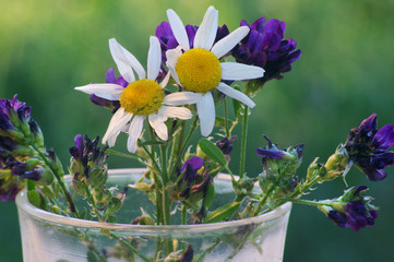 bouquet of white and blue flowers