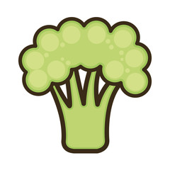 green natural broccoli.  healthy  vegetable food. vector illustration