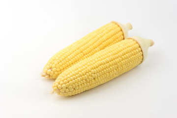 Corn isolated on a white background