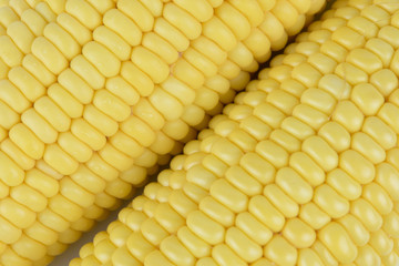  Closeup Fresh Corn background