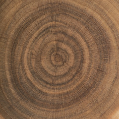 End grain wood rings texture