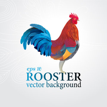 Vector cock. Colorful rooster on a gray background with a pattern.
