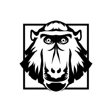 monkey logo