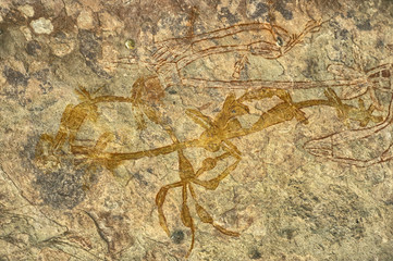Ancient rock drawings, Australia